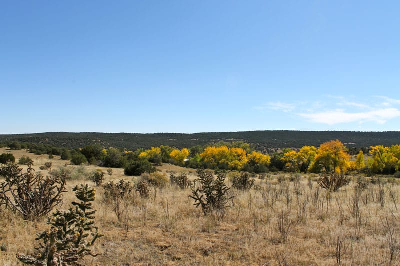 Black Diamond Park Tract 17 photo 8