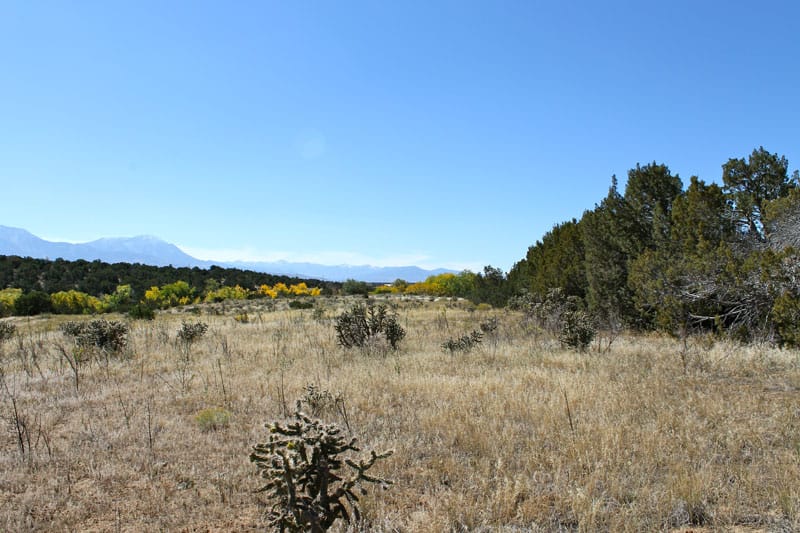 Black Diamond Park Tract 17 photo 10