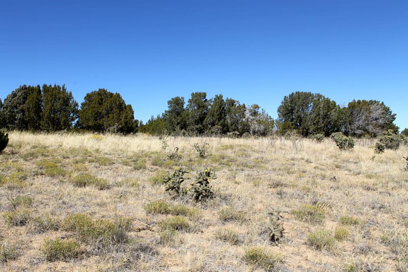 Black Diamond Park Tract 17 photo 12