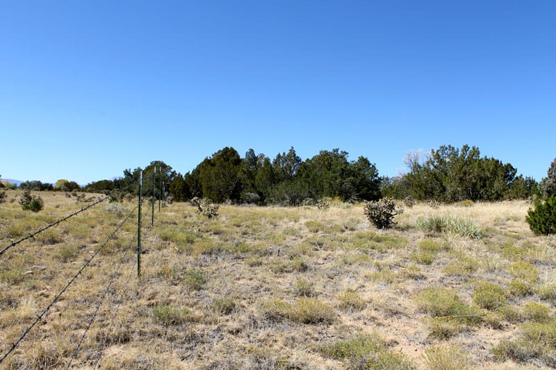 Black Diamond Park Tract 17 photo 13