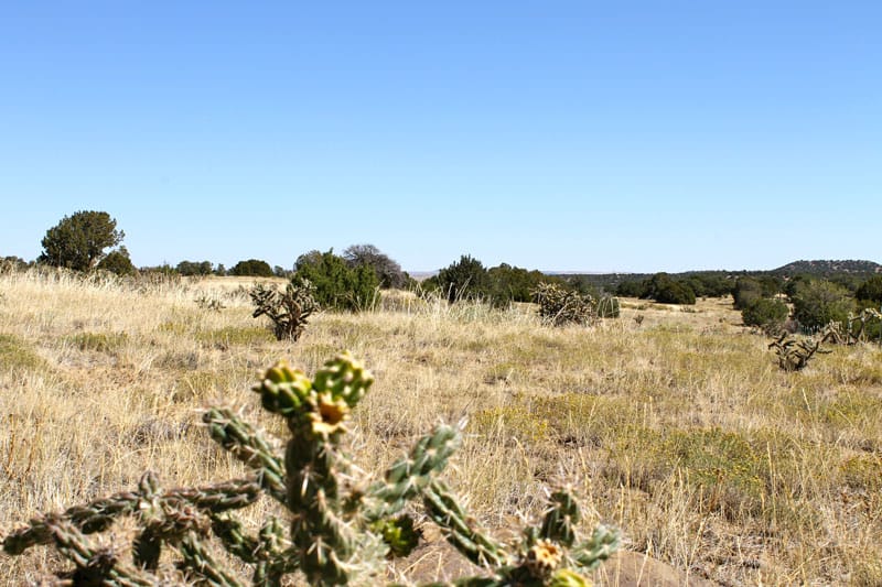 Black Diamond Park Tract 17 photo 15