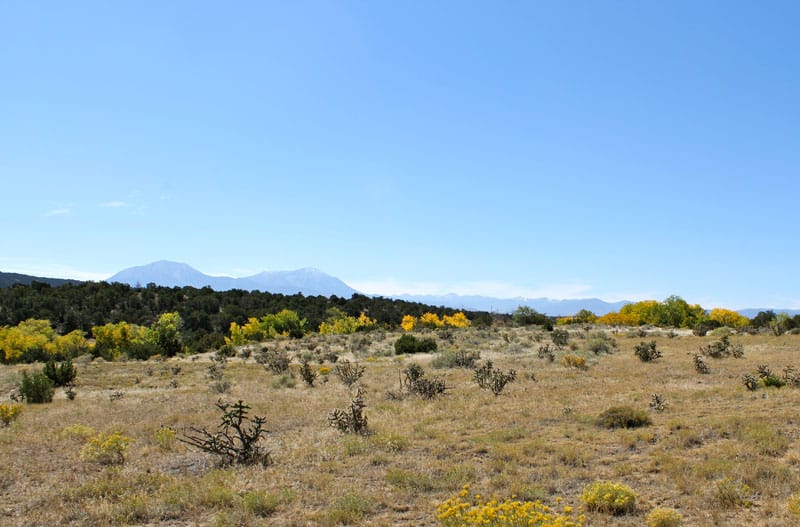 Black Diamond Park Tract 17 photo 17