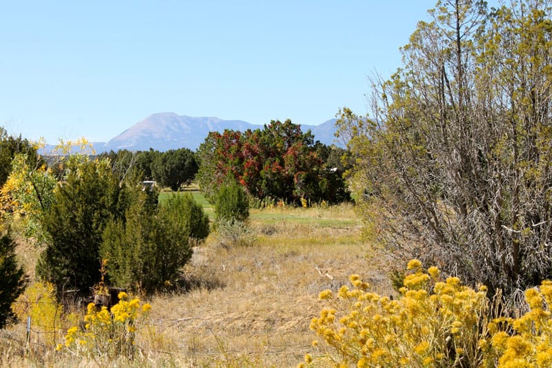Black Diamond Park Tract 17 photo 20