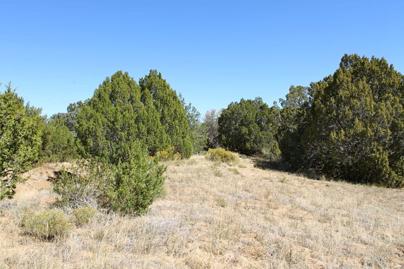 Black Diamond Park Tract 17 photo 22