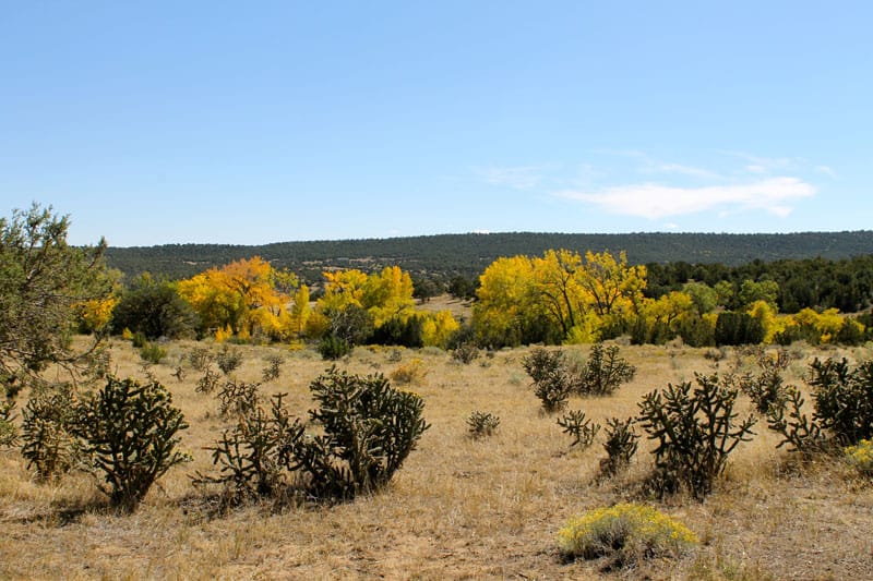 Black Diamond Park Tract 17 photo 24