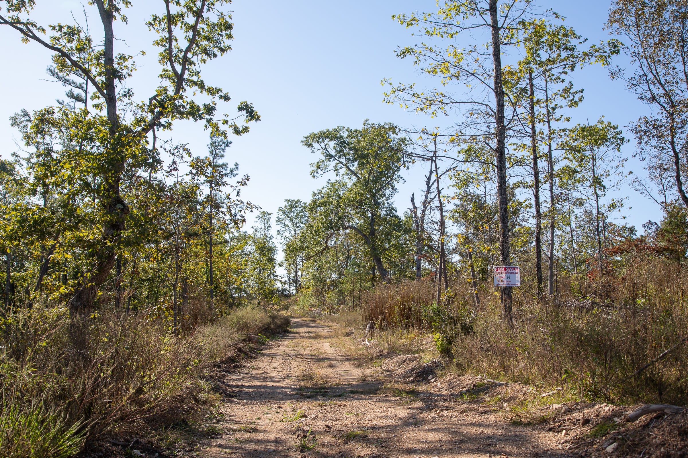 Borgmann’s Hollow Phase IV Tract 114 photo 2