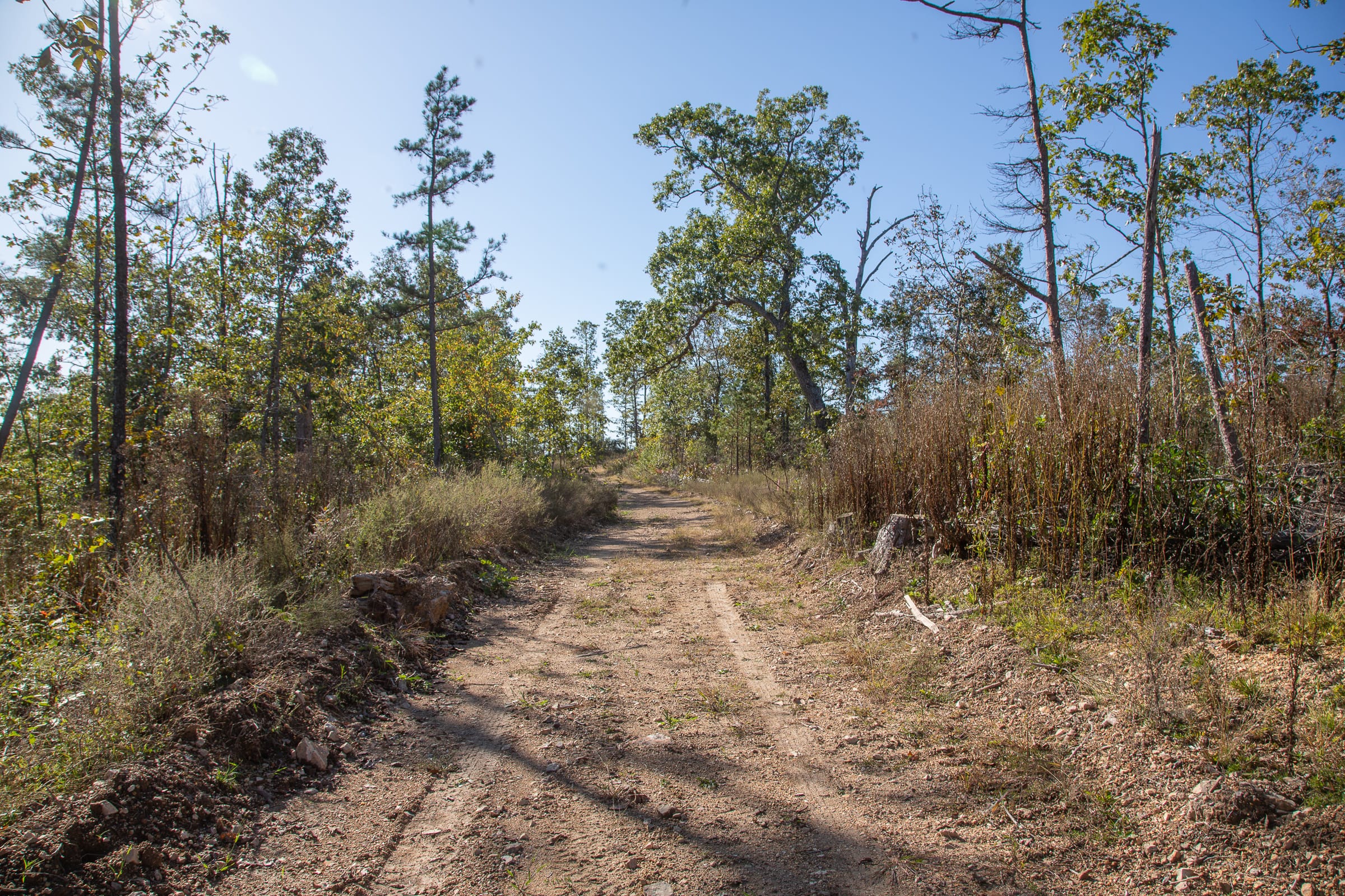 Borgmann’s Hollow Phase IV Tract 114 photo 8