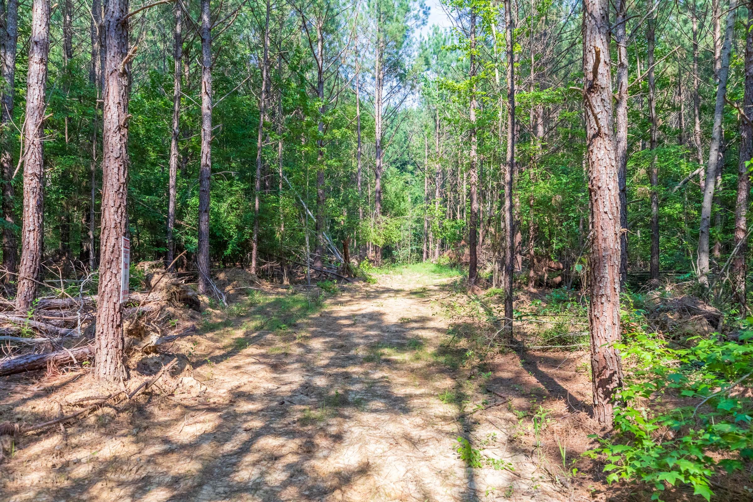 Whiskey Ridge Tract 109 photo 5