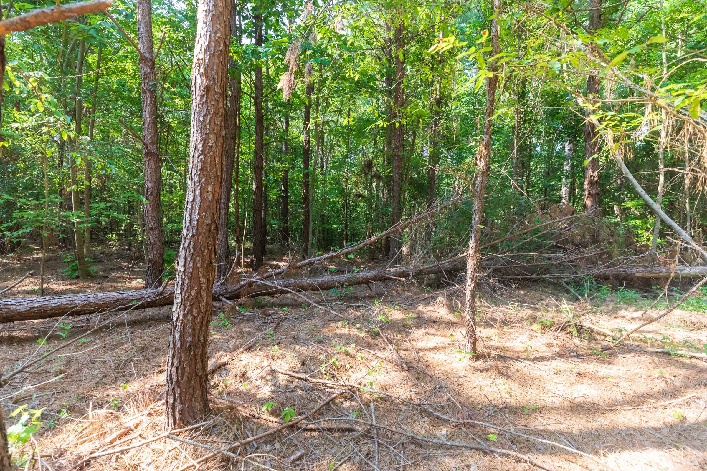 Whiskey Ridge Tract 109 photo 6