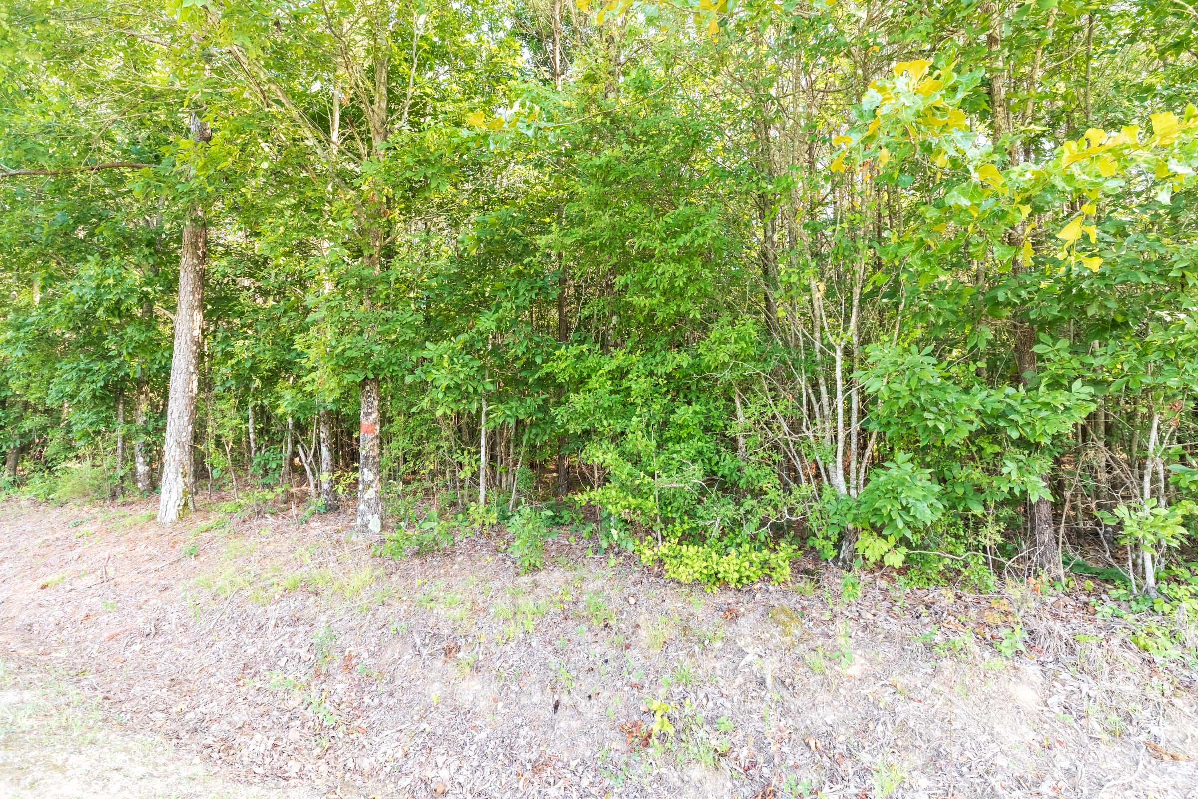Whiskey Ridge Tract 109 photo 11