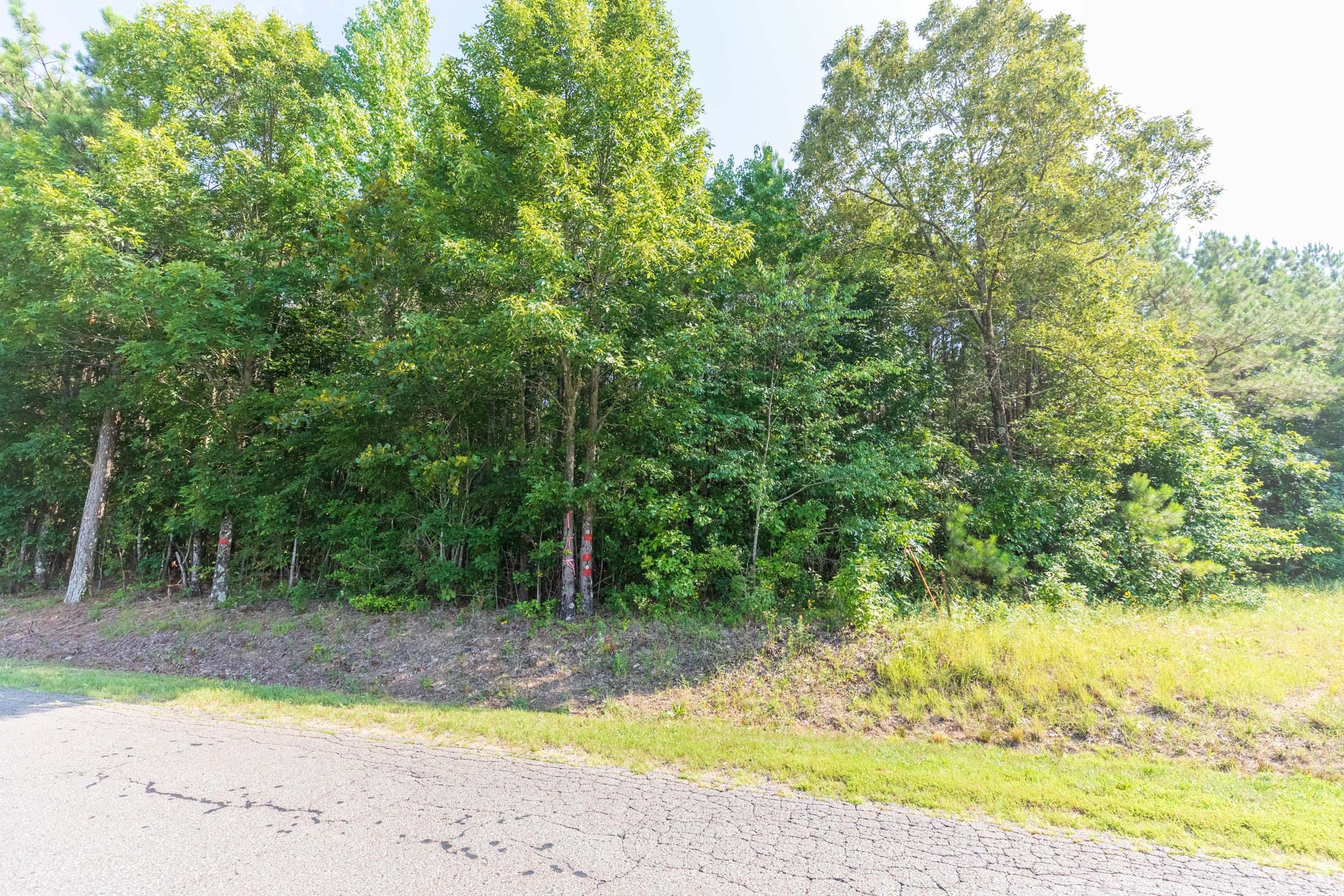 Whiskey Ridge Tract 109 photo 12