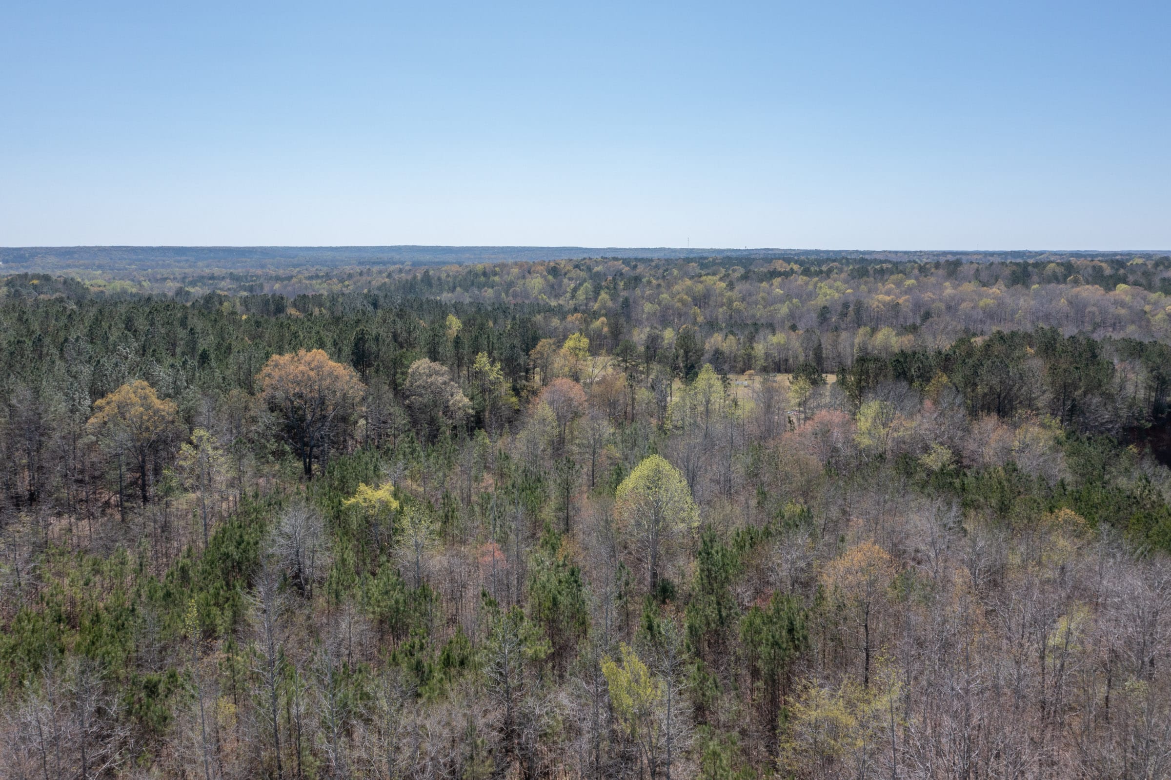 Southern Hills Tract 12 photo 2