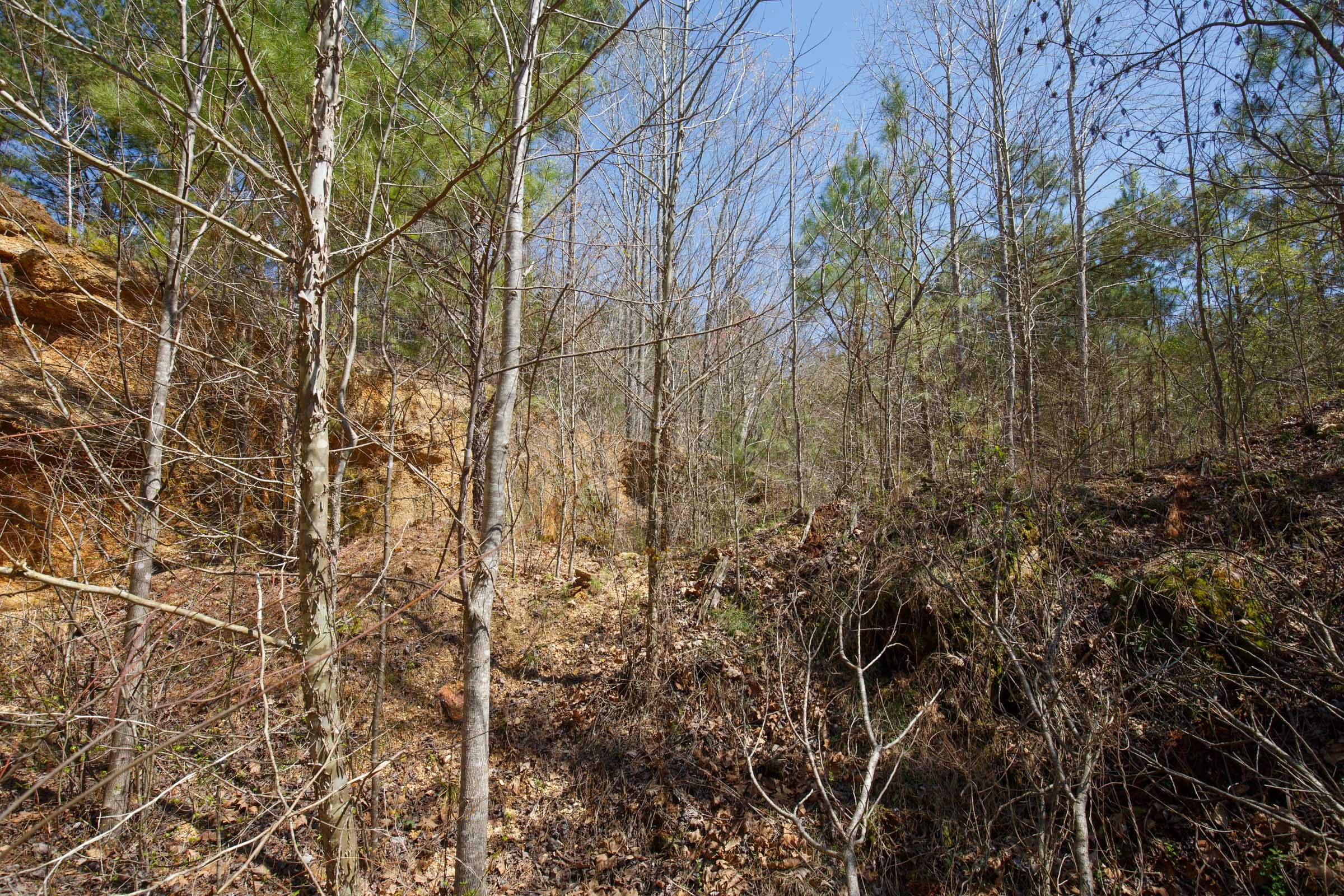 Southern Hills Tract 12 photo 8