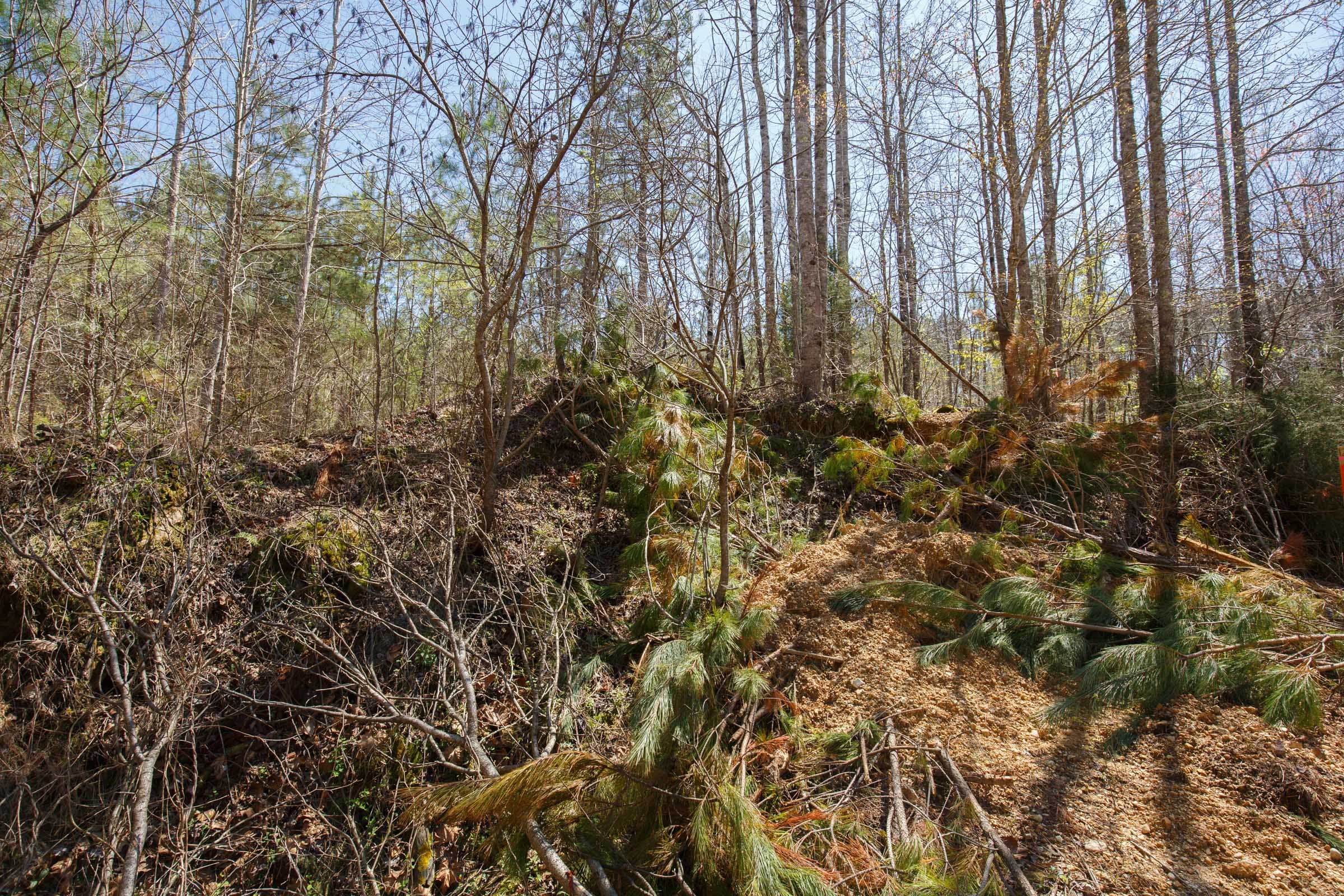 Southern Hills Tract 12 photo 9