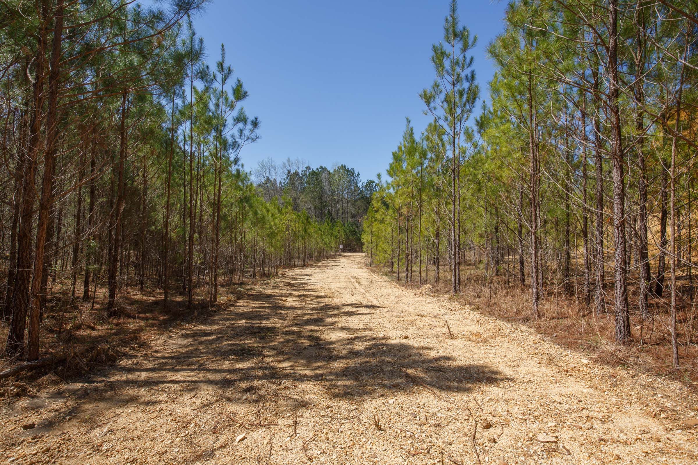 Southern Hills Tract 12 photo 10