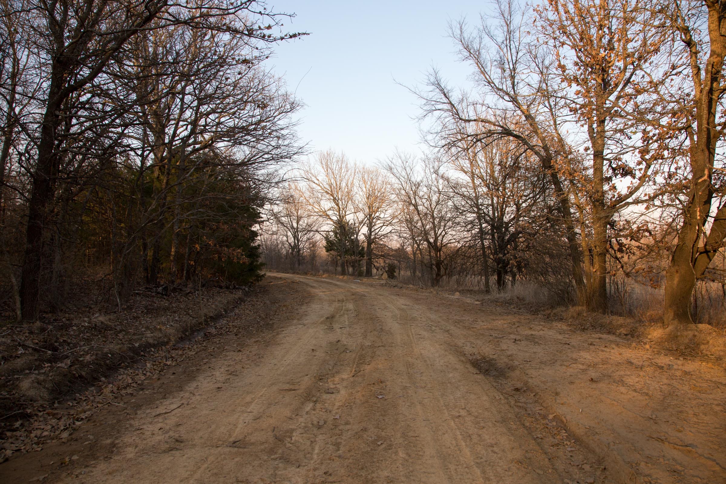 Eufaula Cove Tract 14 photo 2
