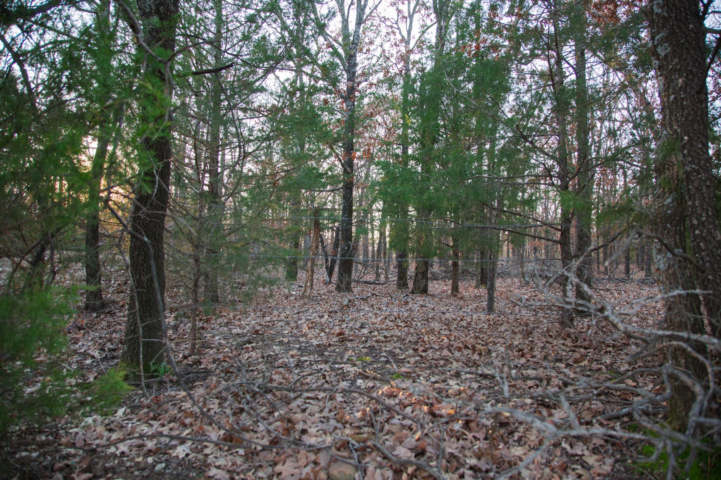 Eufaula Cove Tract 14 photo 6