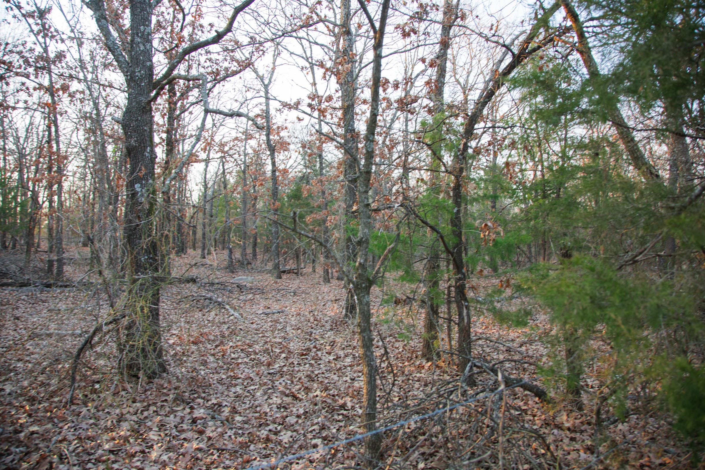 Eufaula Cove Tract 14 photo 8