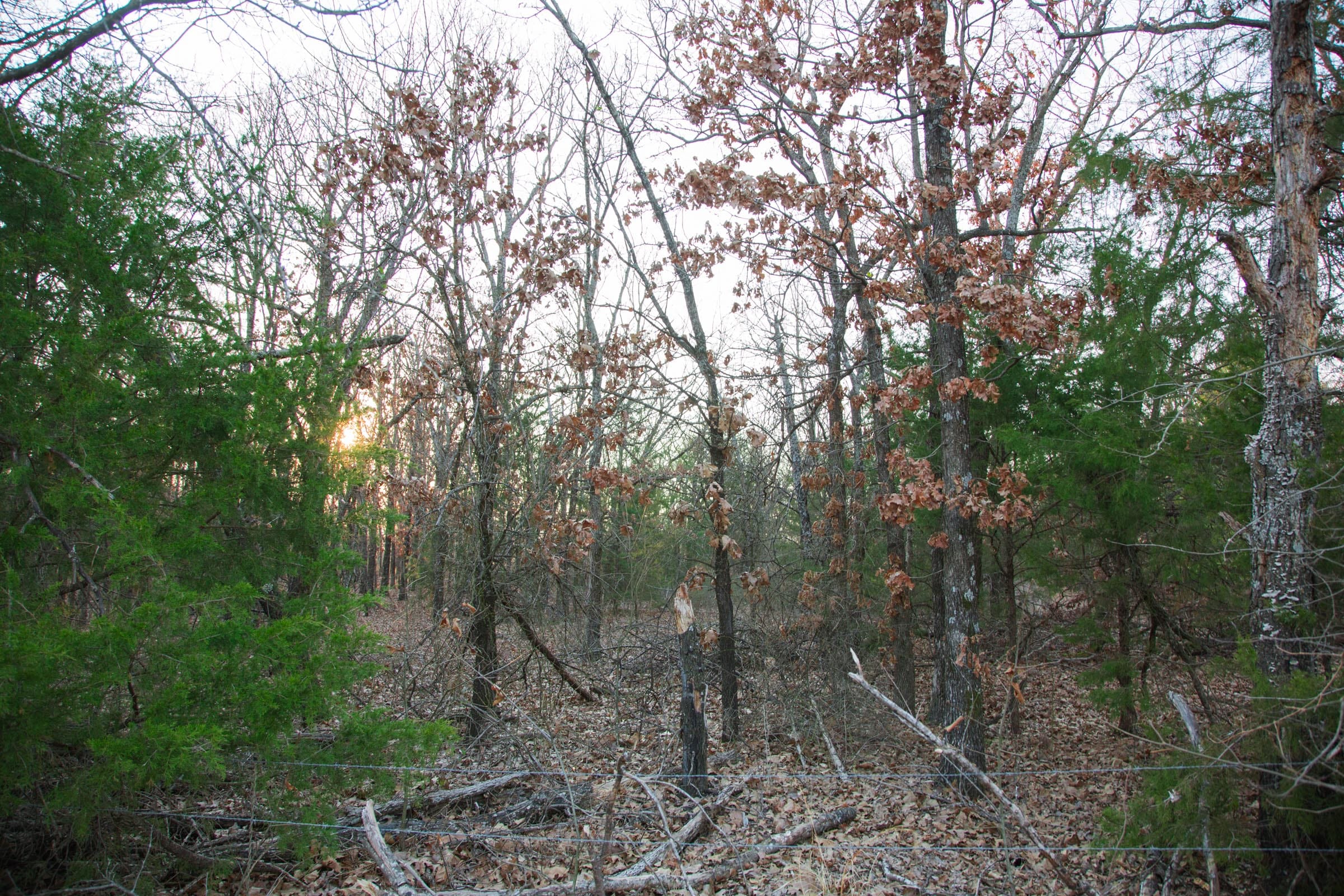 Eufaula Cove Tract 14 photo 9