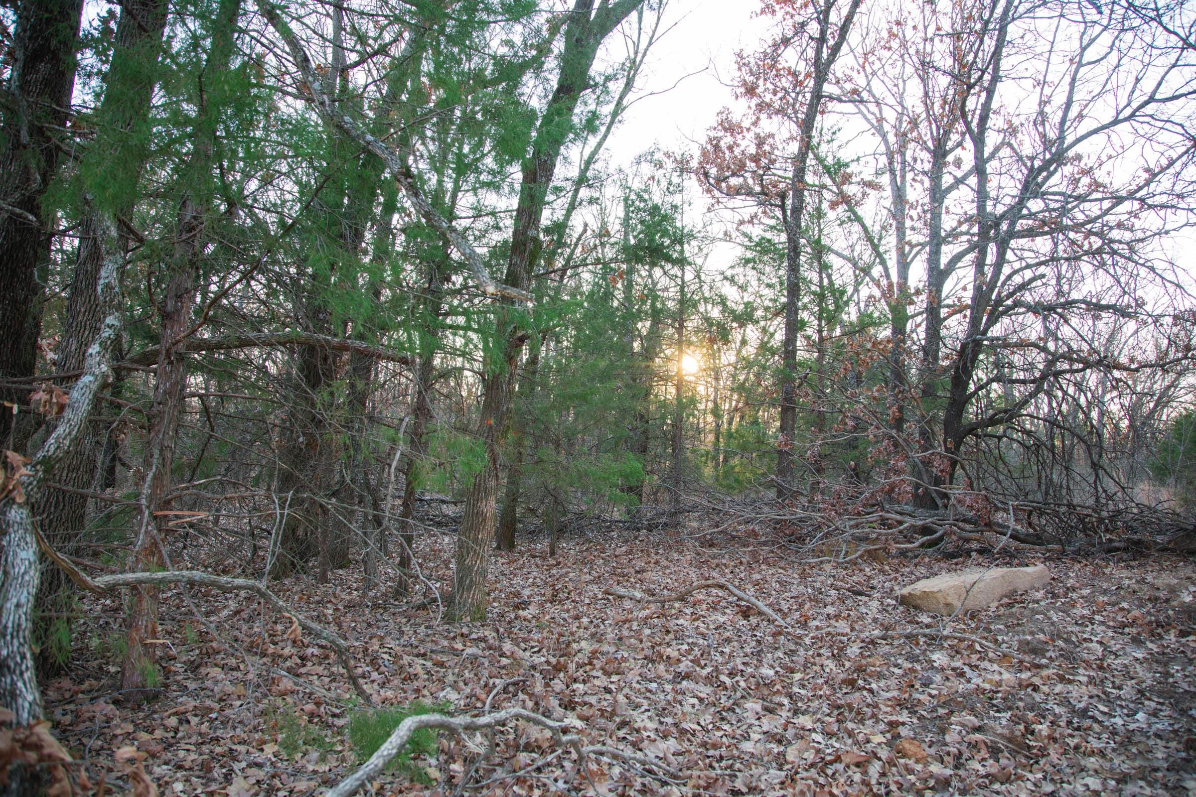 Eufaula Cove Tract 14 photo 11