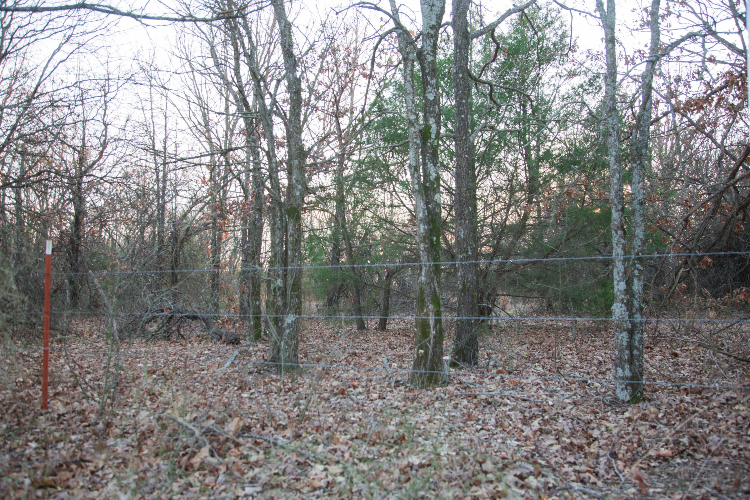 Eufaula Cove Tract 14 photo 14