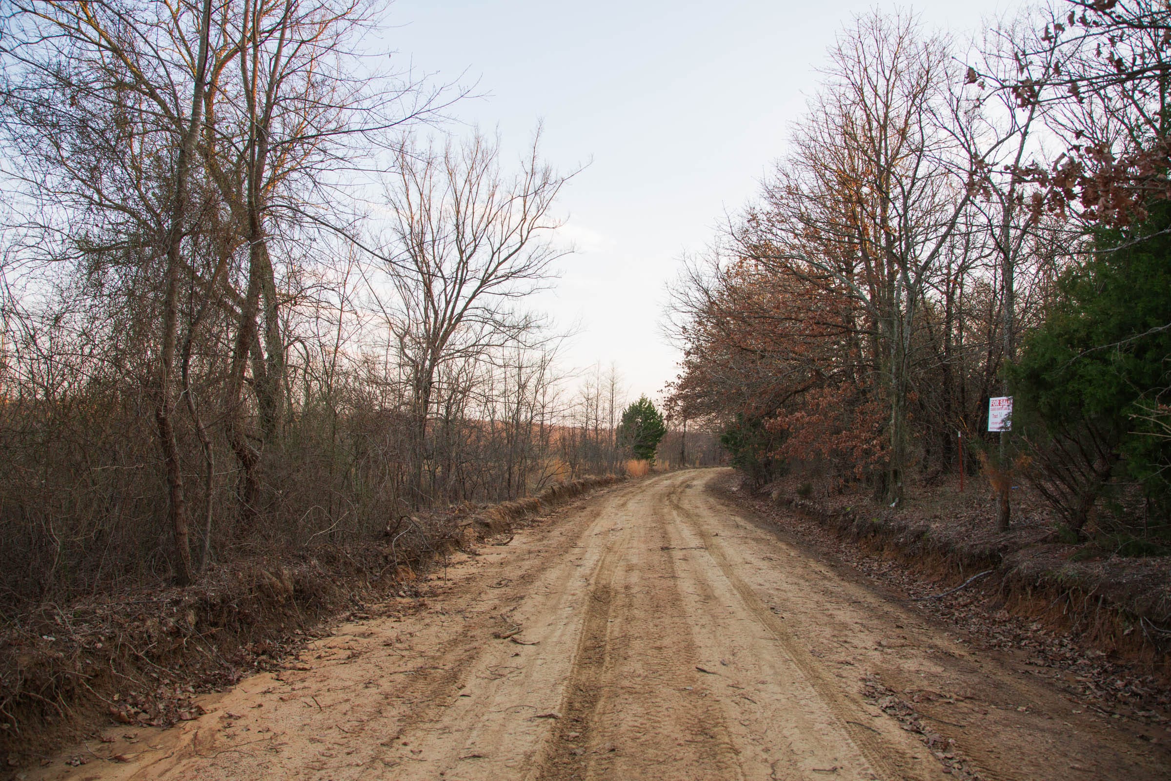 Eufaula Cove Tract 14 photo 15
