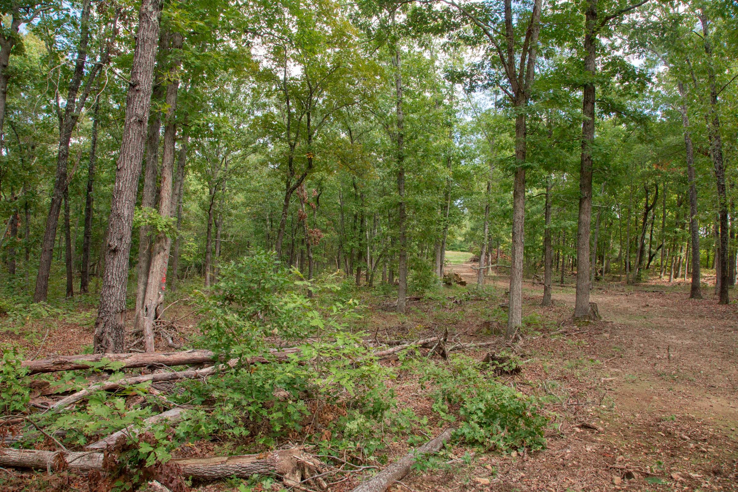 Wagon Wheel Ranch Tract 27 photo 3