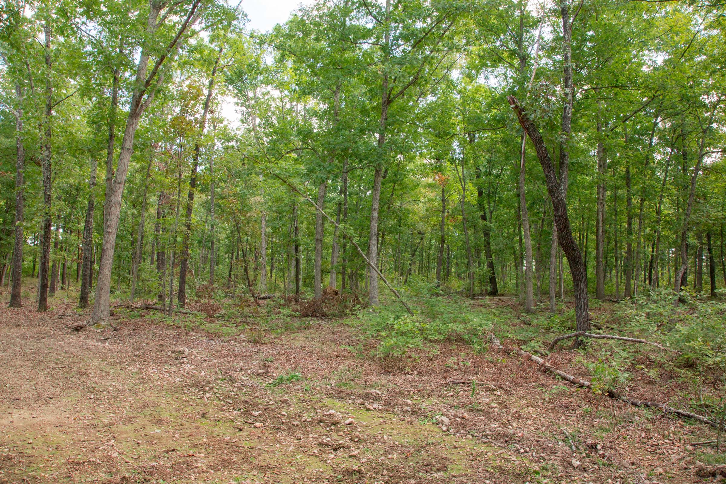 Wagon Wheel Ranch Tract 27 photo 4