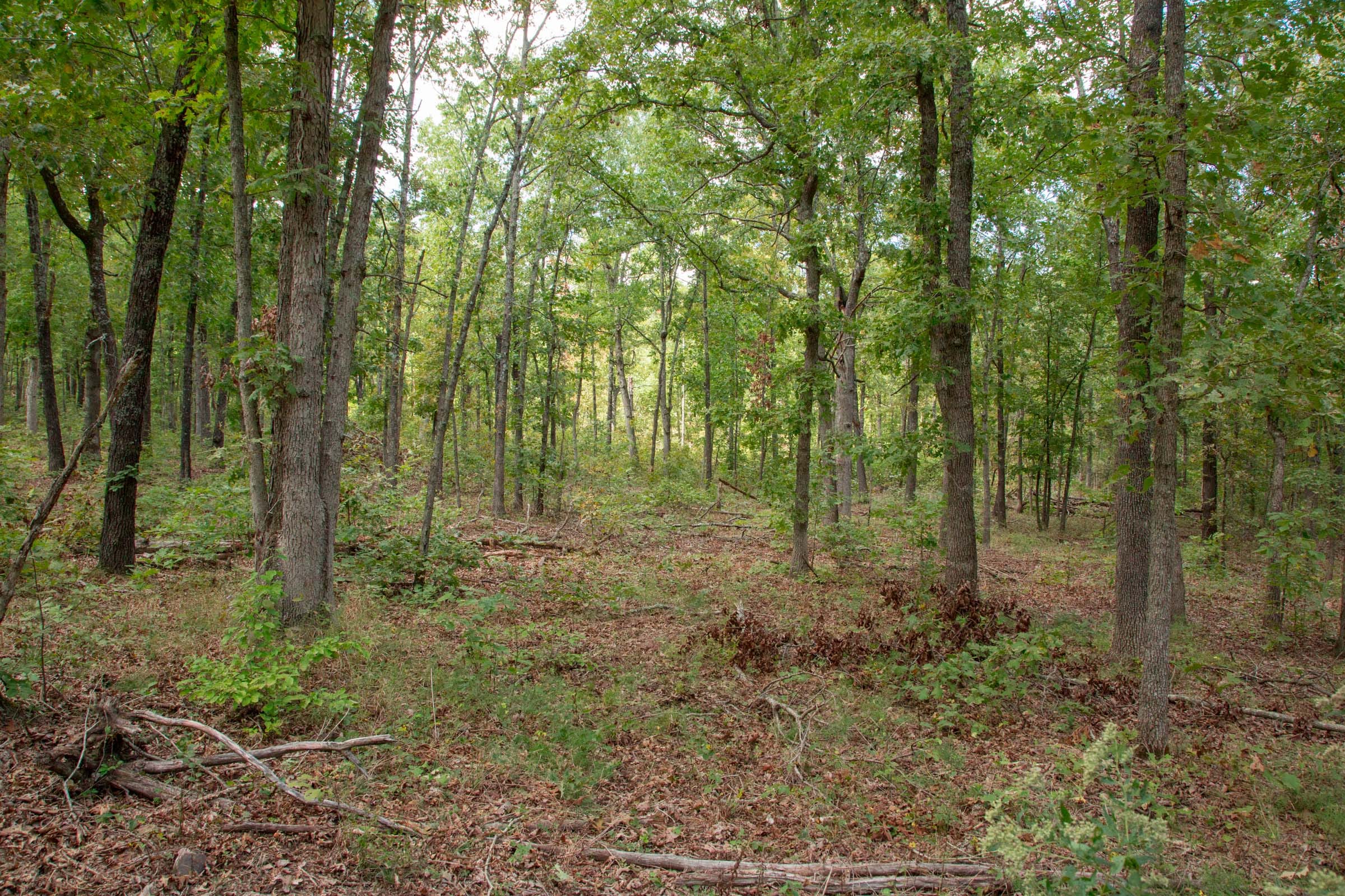 Wagon Wheel Ranch Tract 27 photo 7