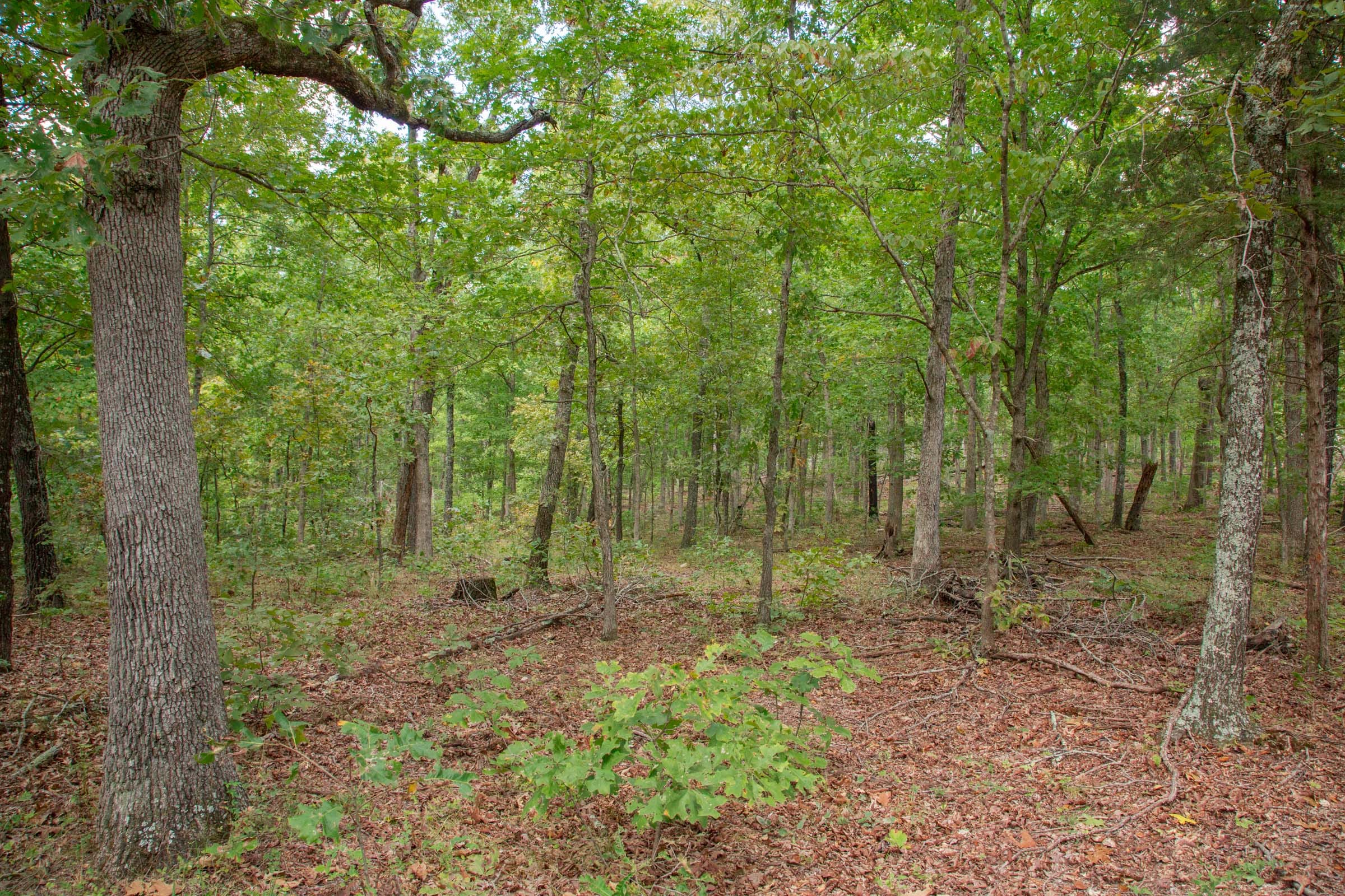 Wagon Wheel Ranch Tract 27 photo 8