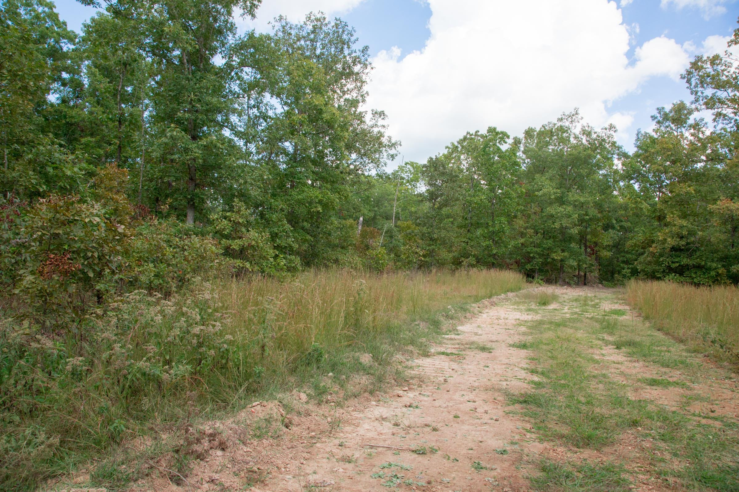 Wagon Wheel Ranch Tract 27 photo 6