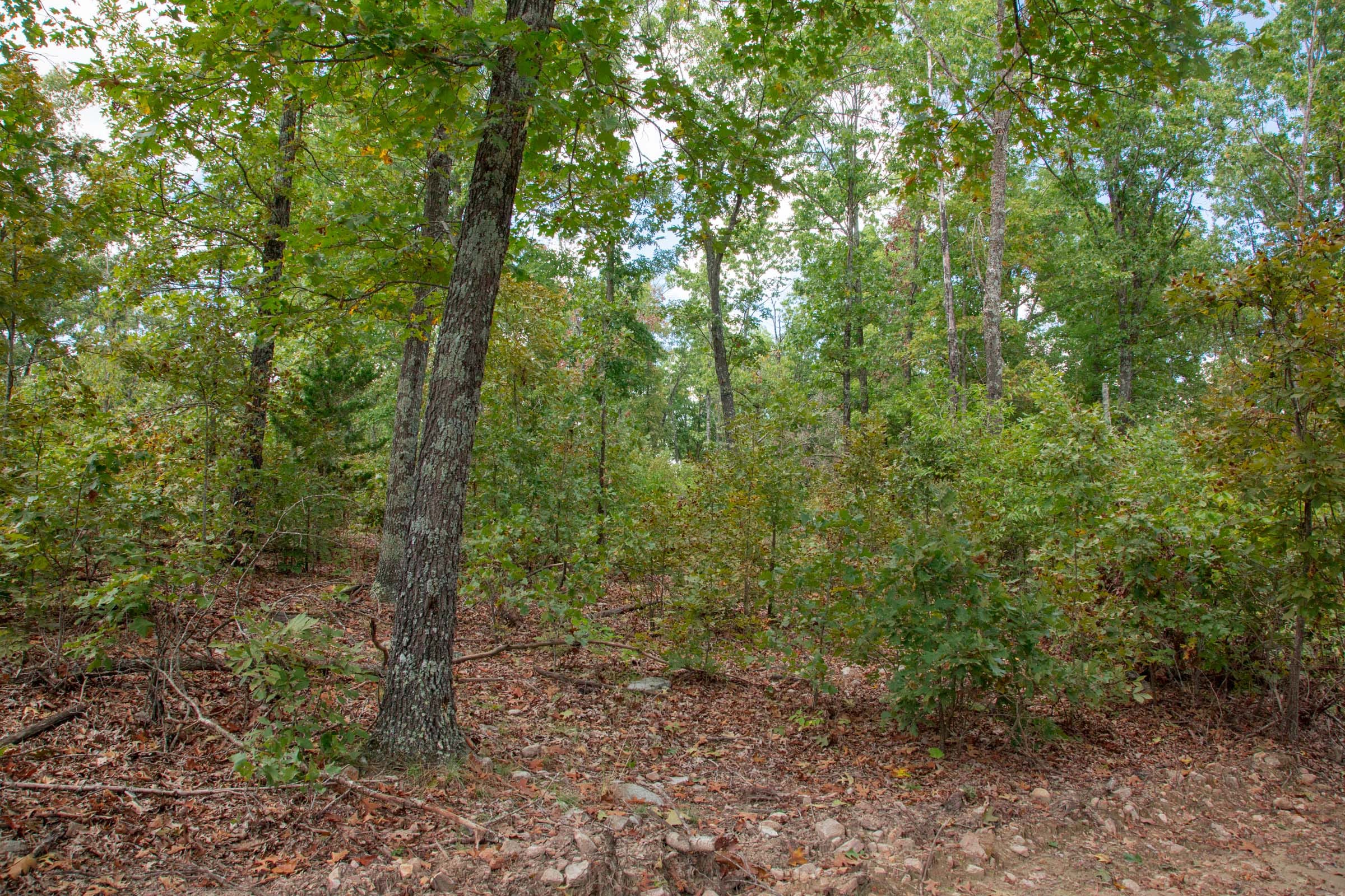Wagon Wheel Ranch Tract 27 photo 10
