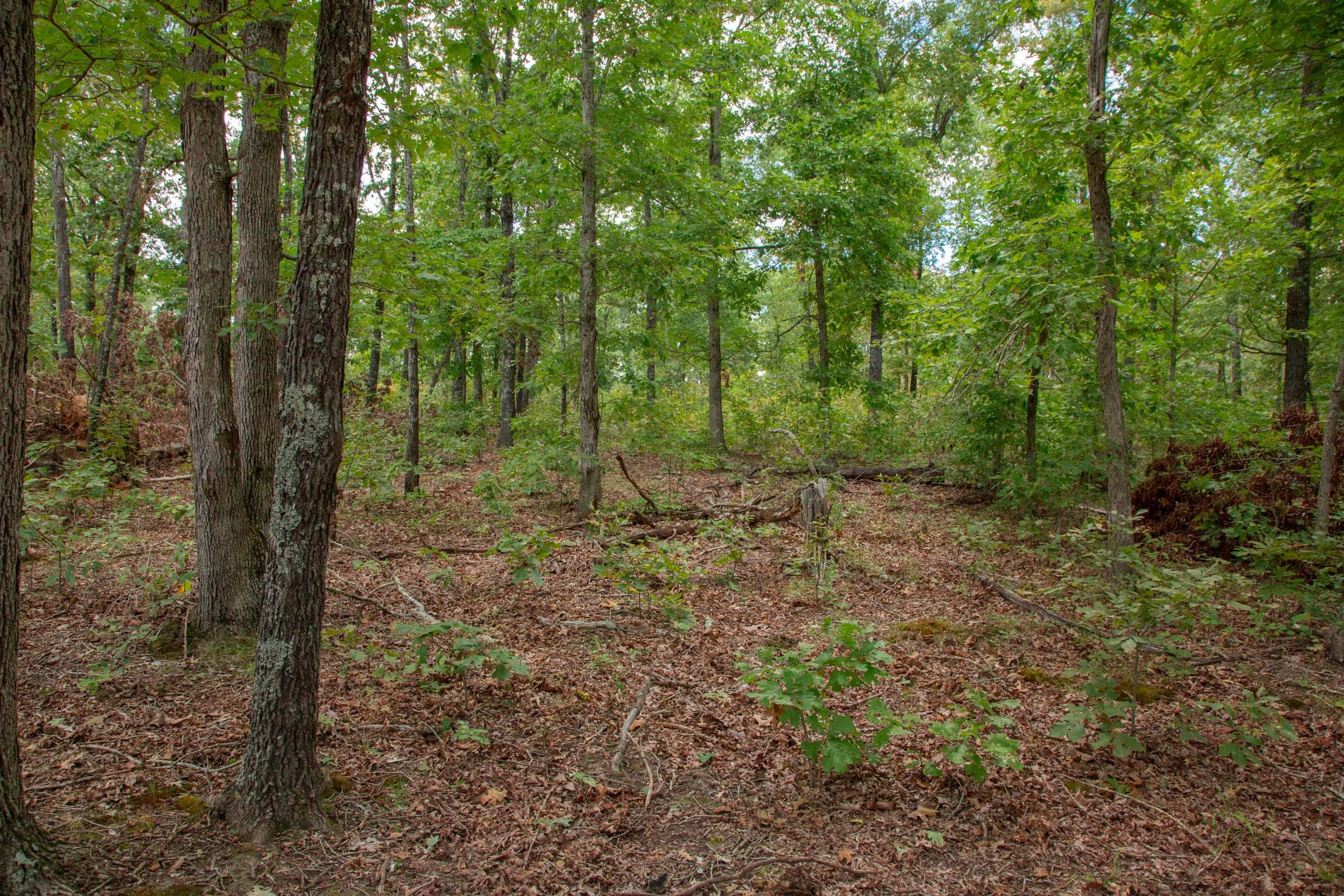 Wagon Wheel Ranch Tract 27 photo 1