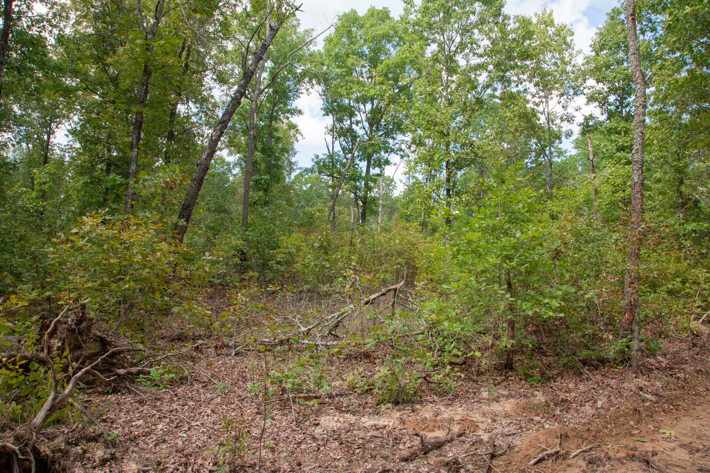 Wagon Wheel Ranch Tract 27 photo 13