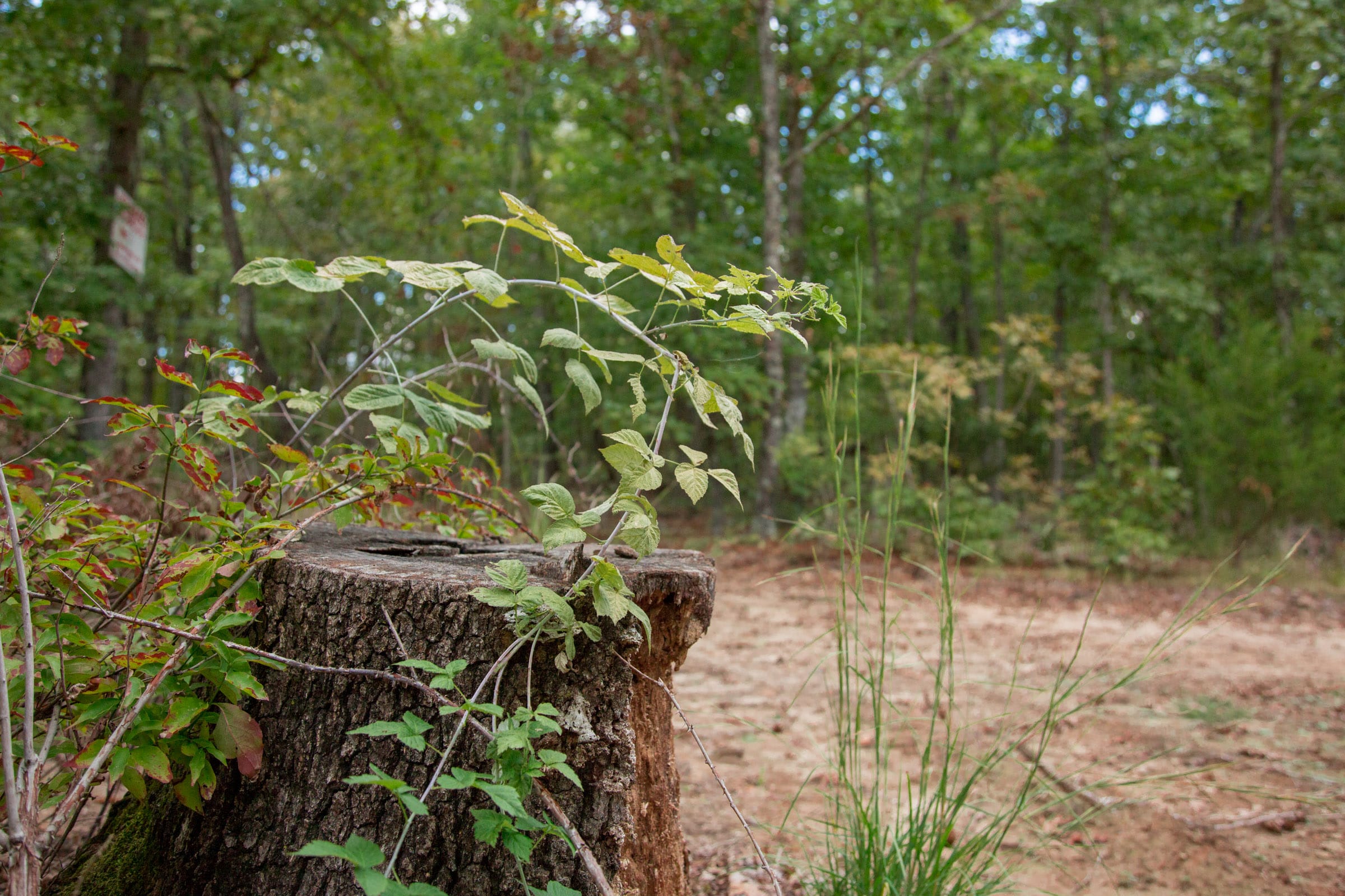 Wagon Wheel Ranch Tract 27 photo 14