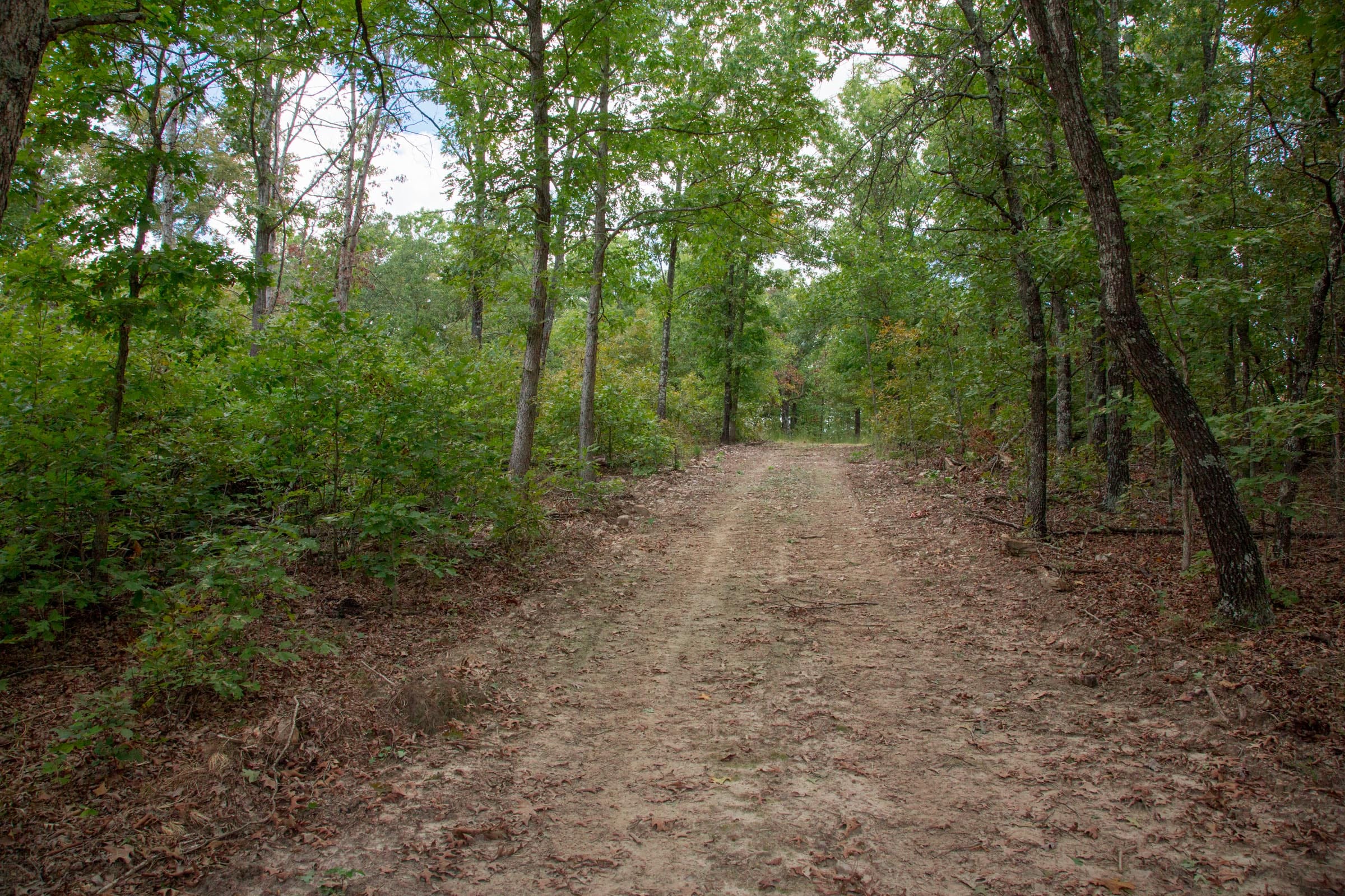 Wagon Wheel Ranch Tract 27 photo 12