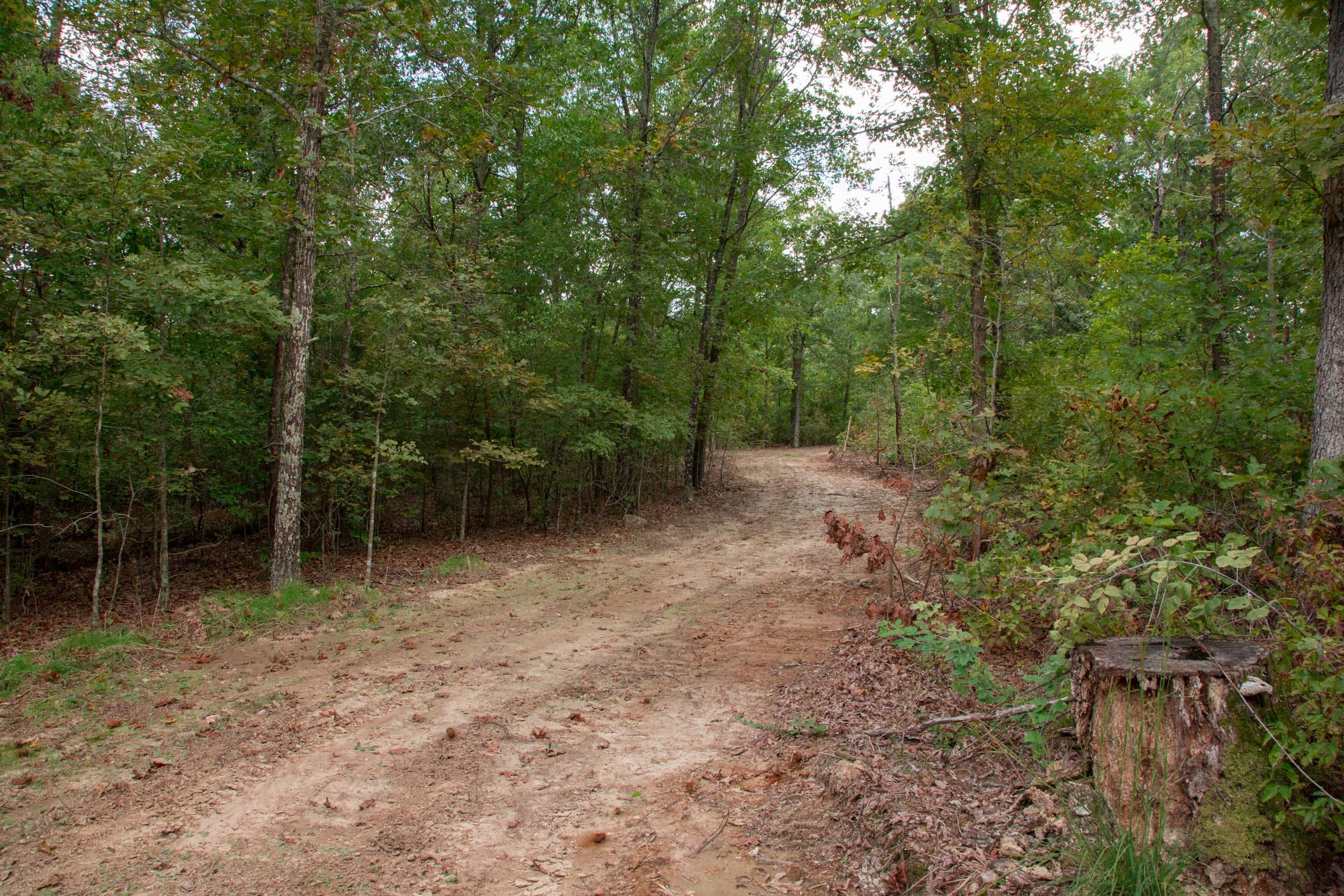 Wagon Wheel Ranch Tract 27 photo 2