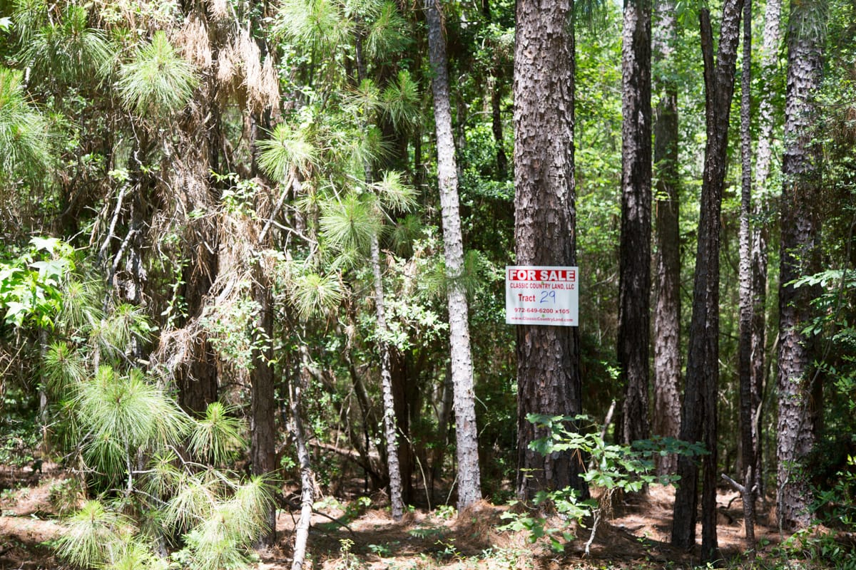 Rayburn Country Tract 29 photo 1