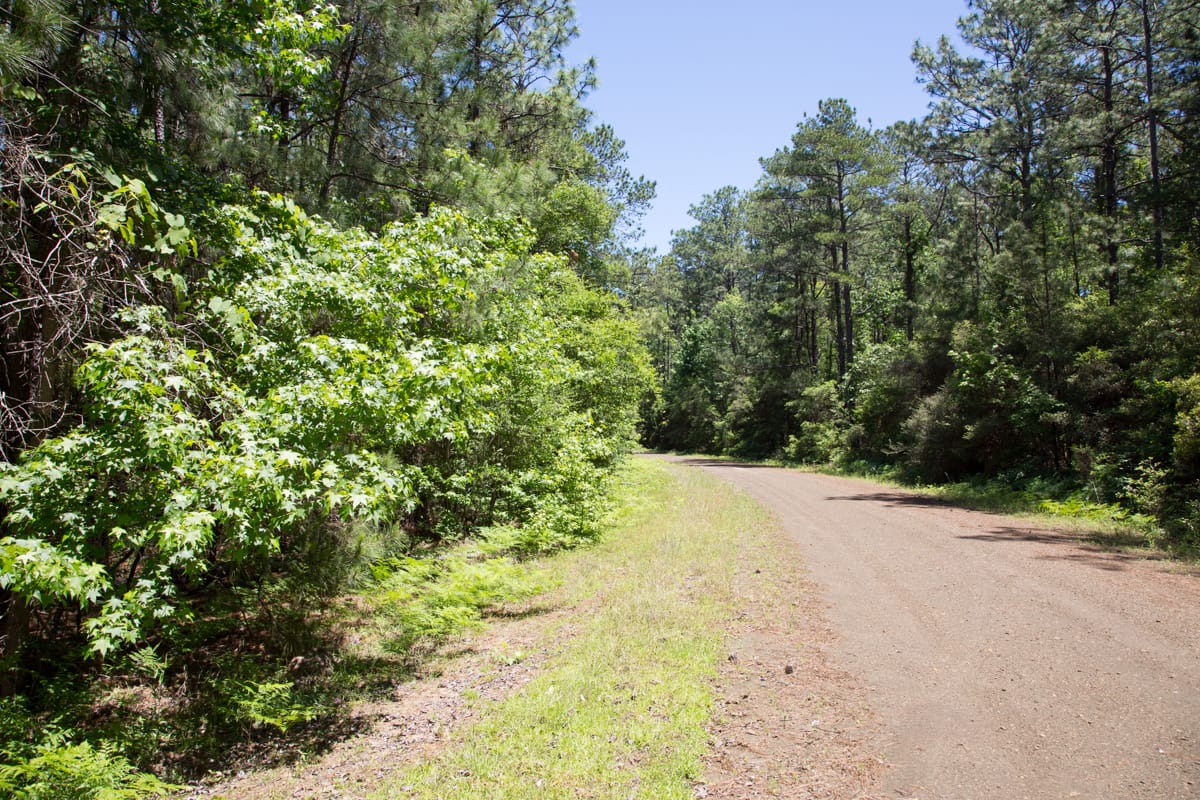 Rayburn Country Tract 29 photo 2