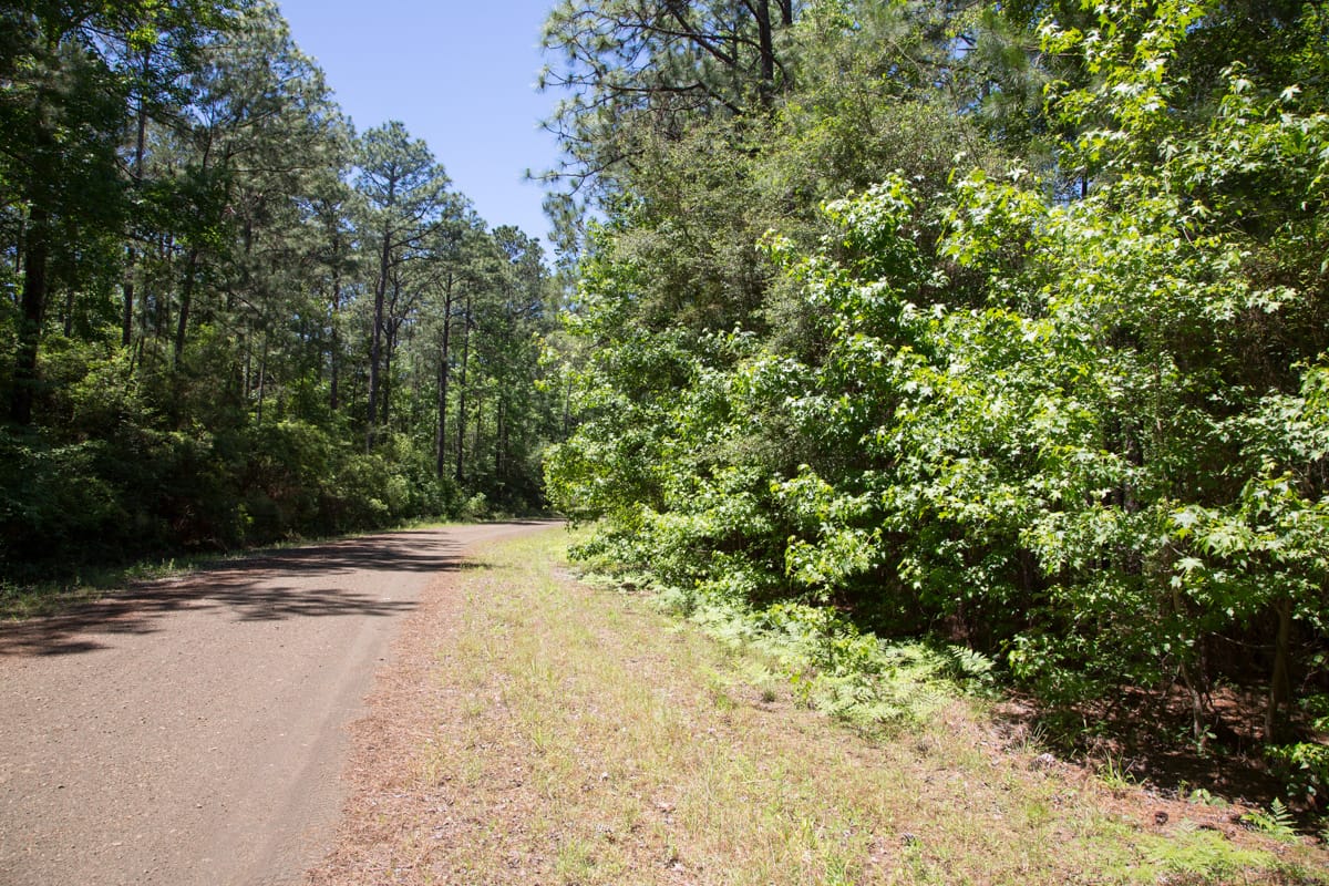 Rayburn Country Tract 29 photo 3