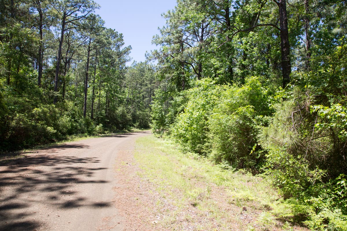 Rayburn Country Tract 29 photo 8