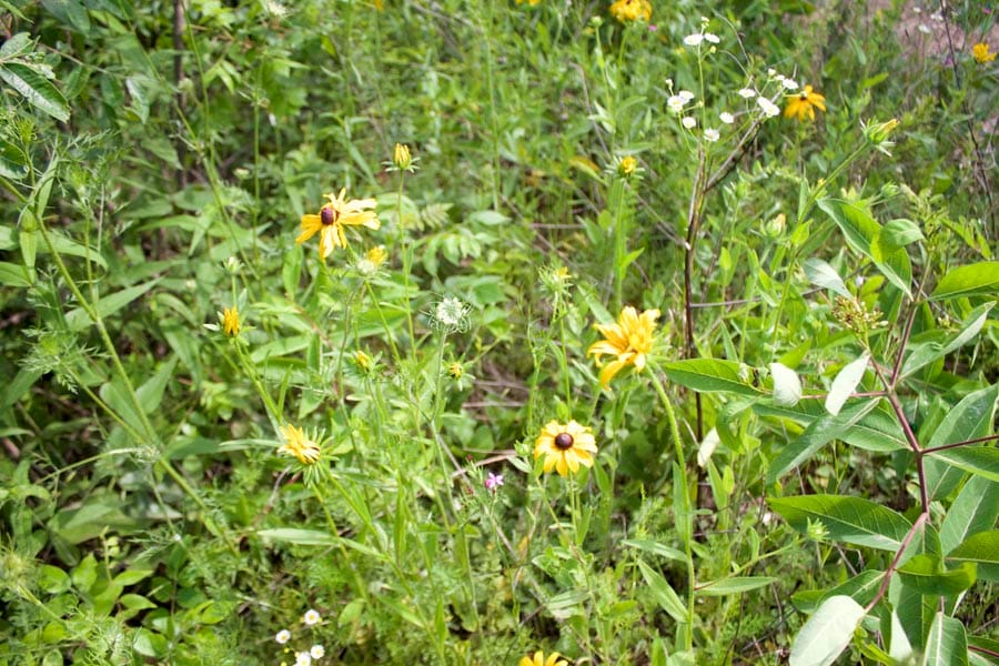 Thunder Mountain Ranch Tract 6 photo 7