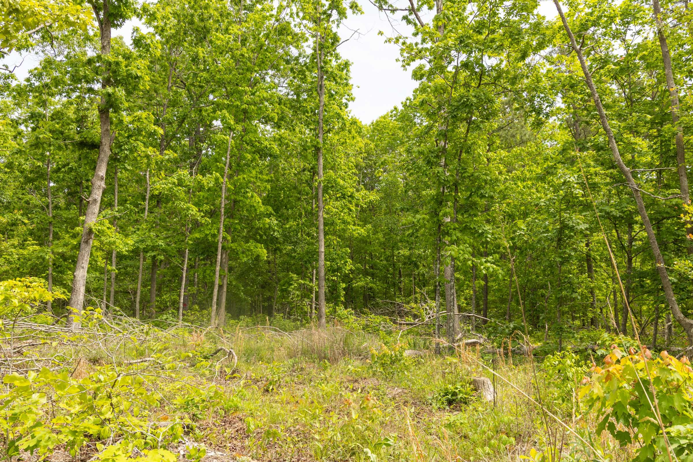 Stardust Estates Tract 28 photo 16