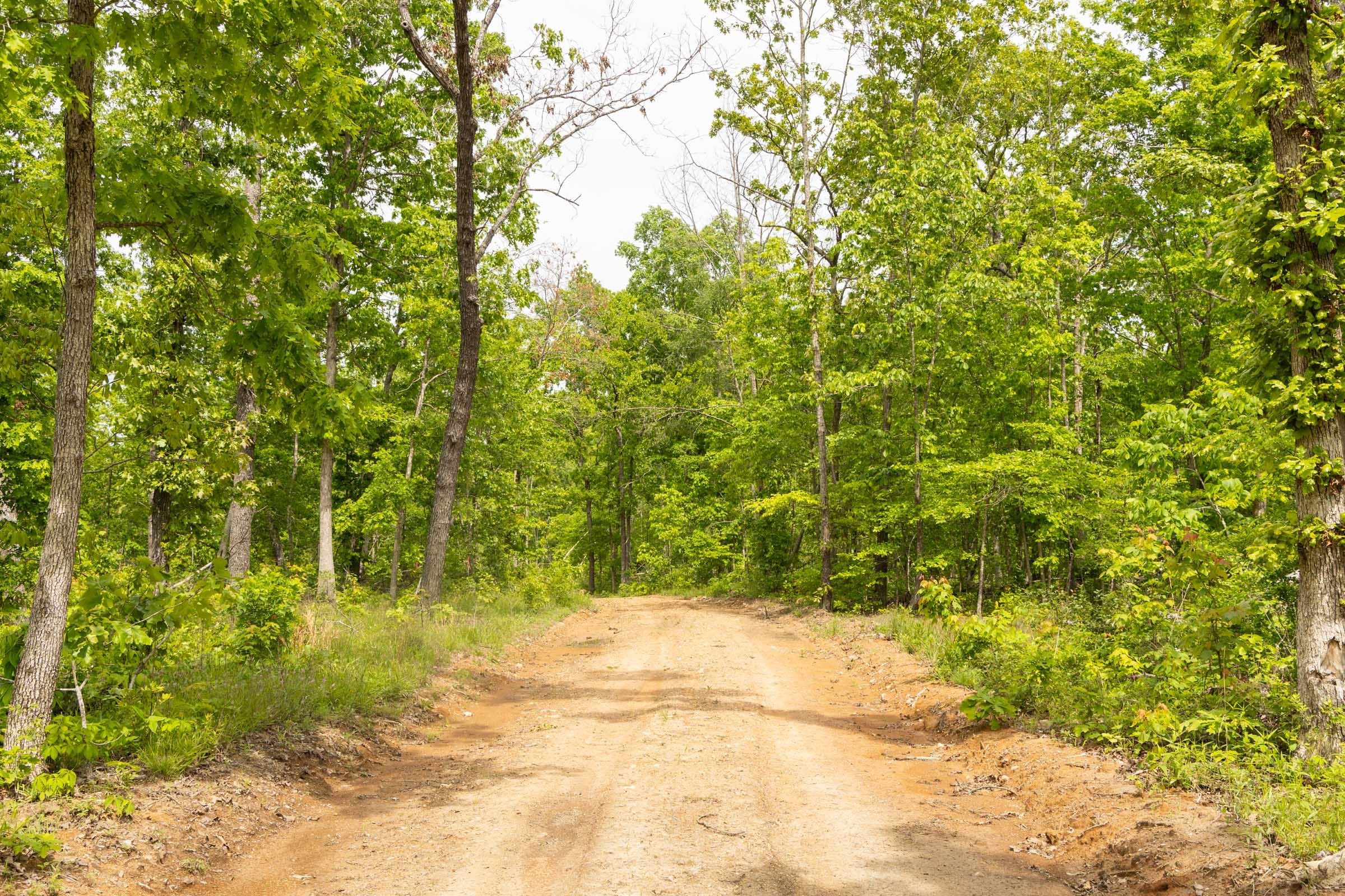 Stardust Estates Tract 28 photo 15