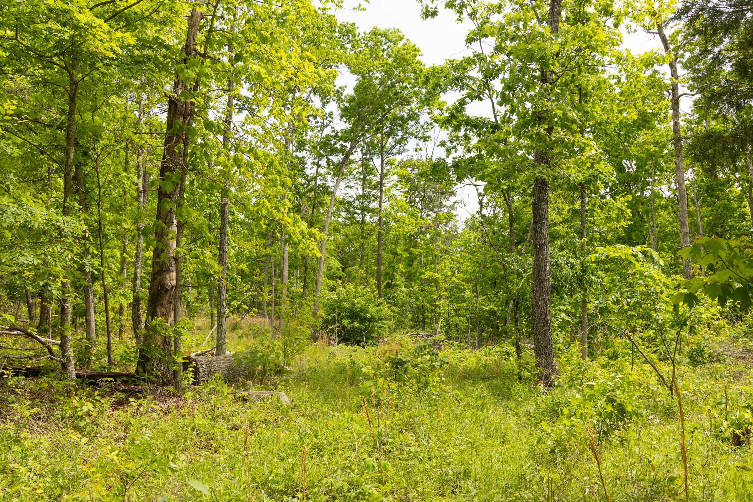 Stardust Estates Tract 28 photo 13