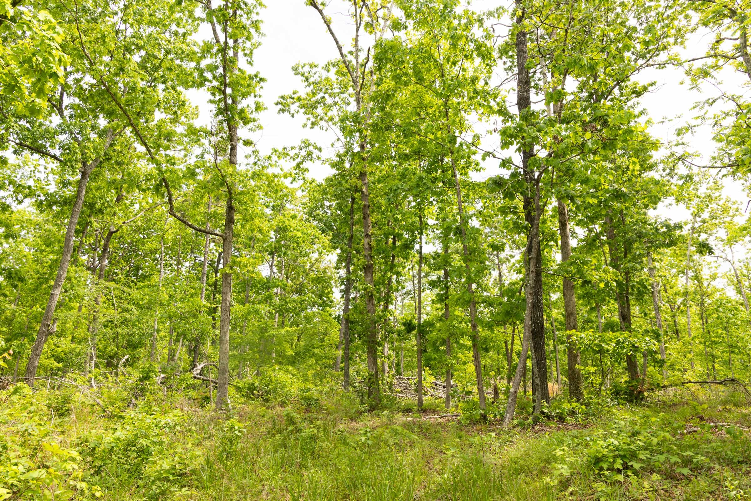Stardust Estates Tract 28 photo 12
