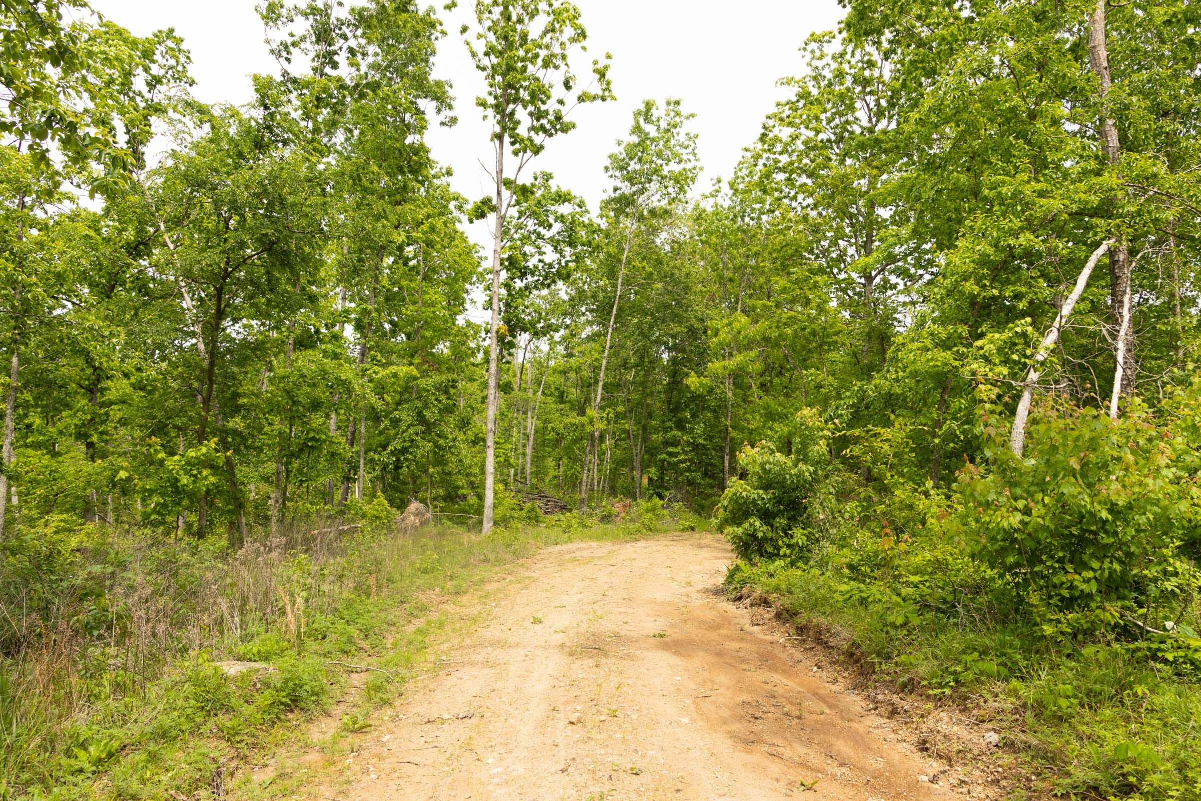 Stardust Estates Tract 28 photo 11