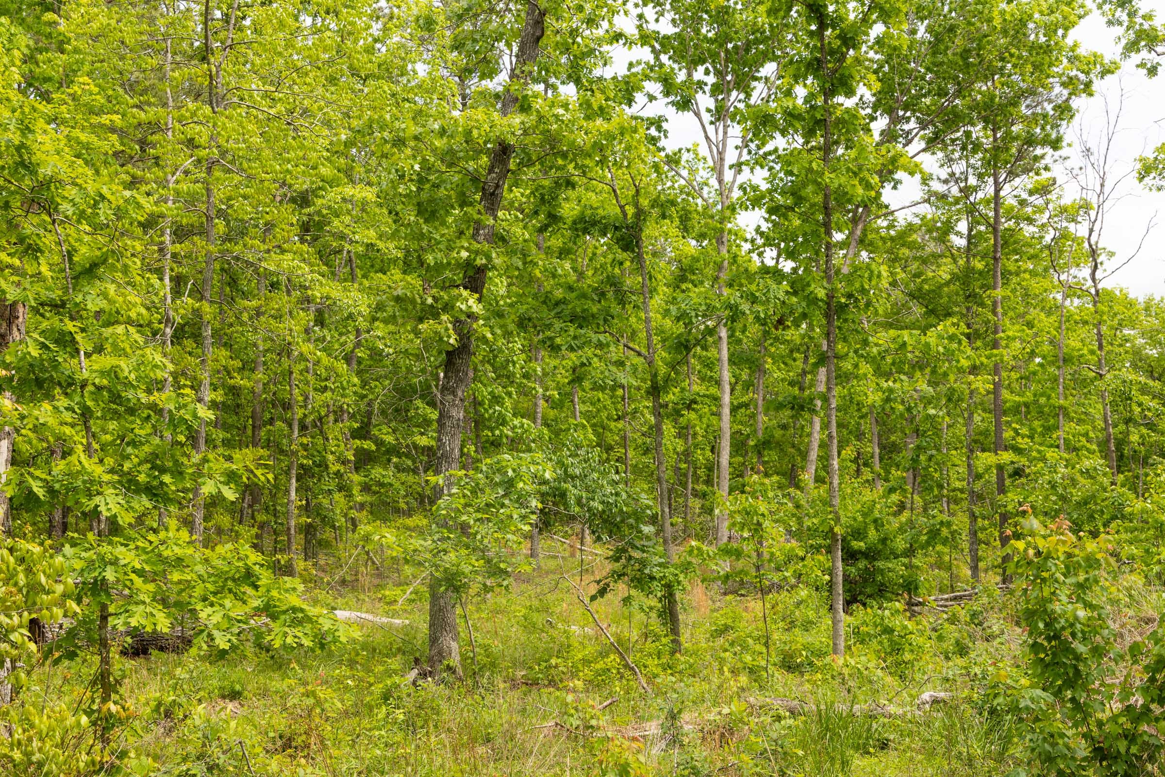 Stardust Estates Tract 28 photo 8