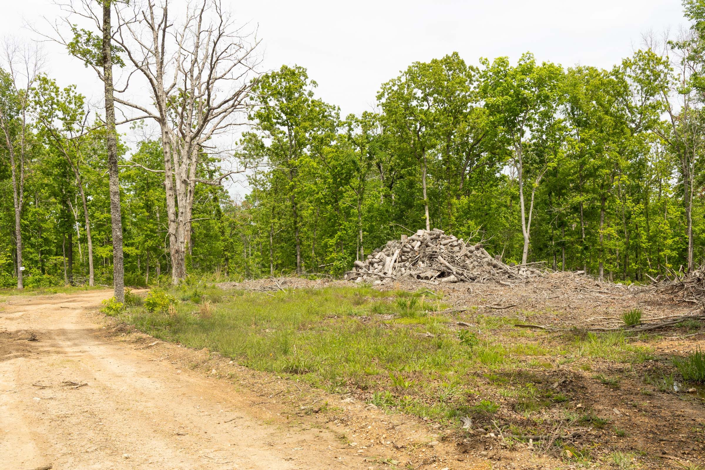 Stardust Estates Tract 28 photo 3