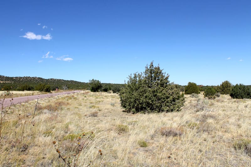 Black Diamond Park Tract 5 photo 3